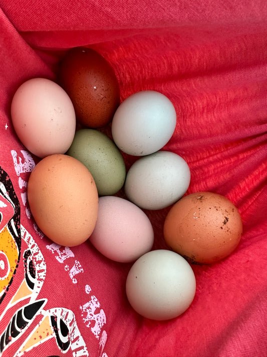 Hen's Choice Easter Egger Eggs