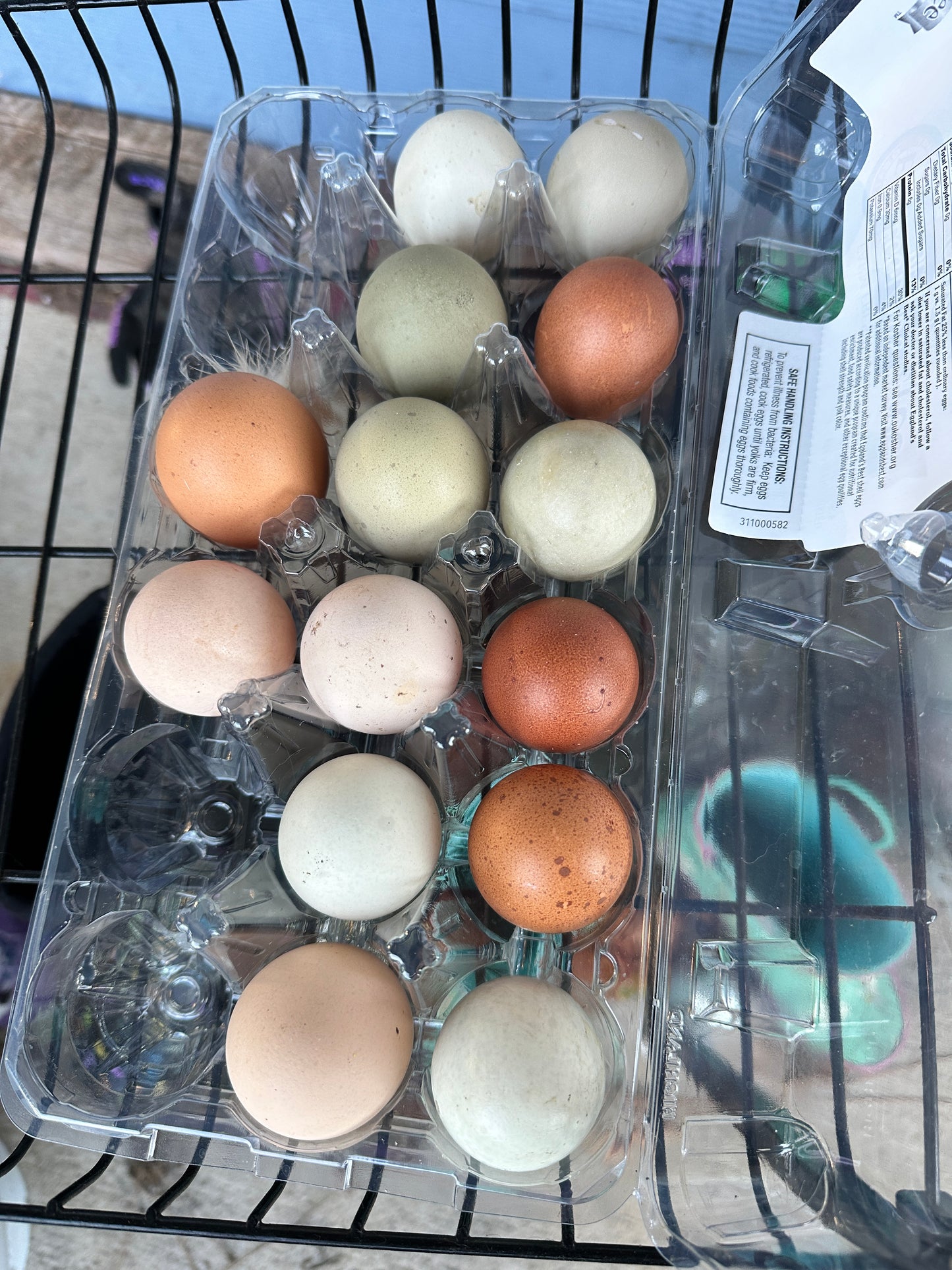 Hen's Choice Easter Egger Eggs